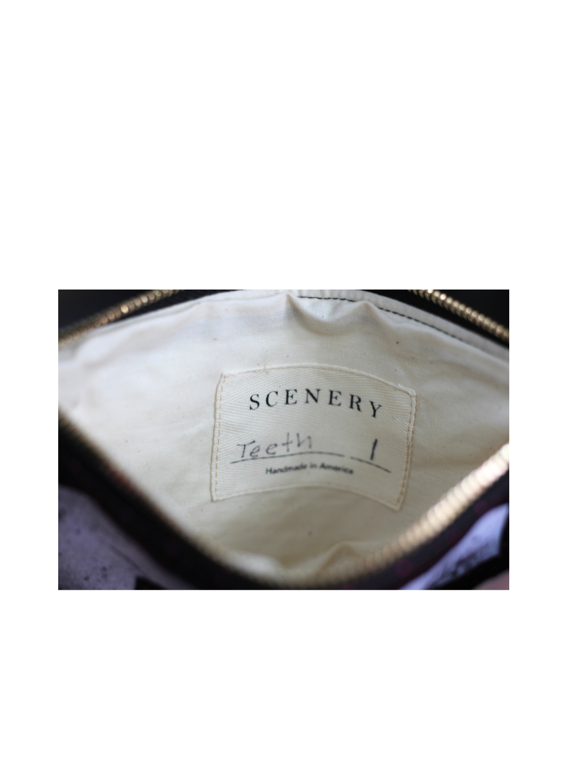 TEETH Vinyl Banner Bag (with loops) - Scenery