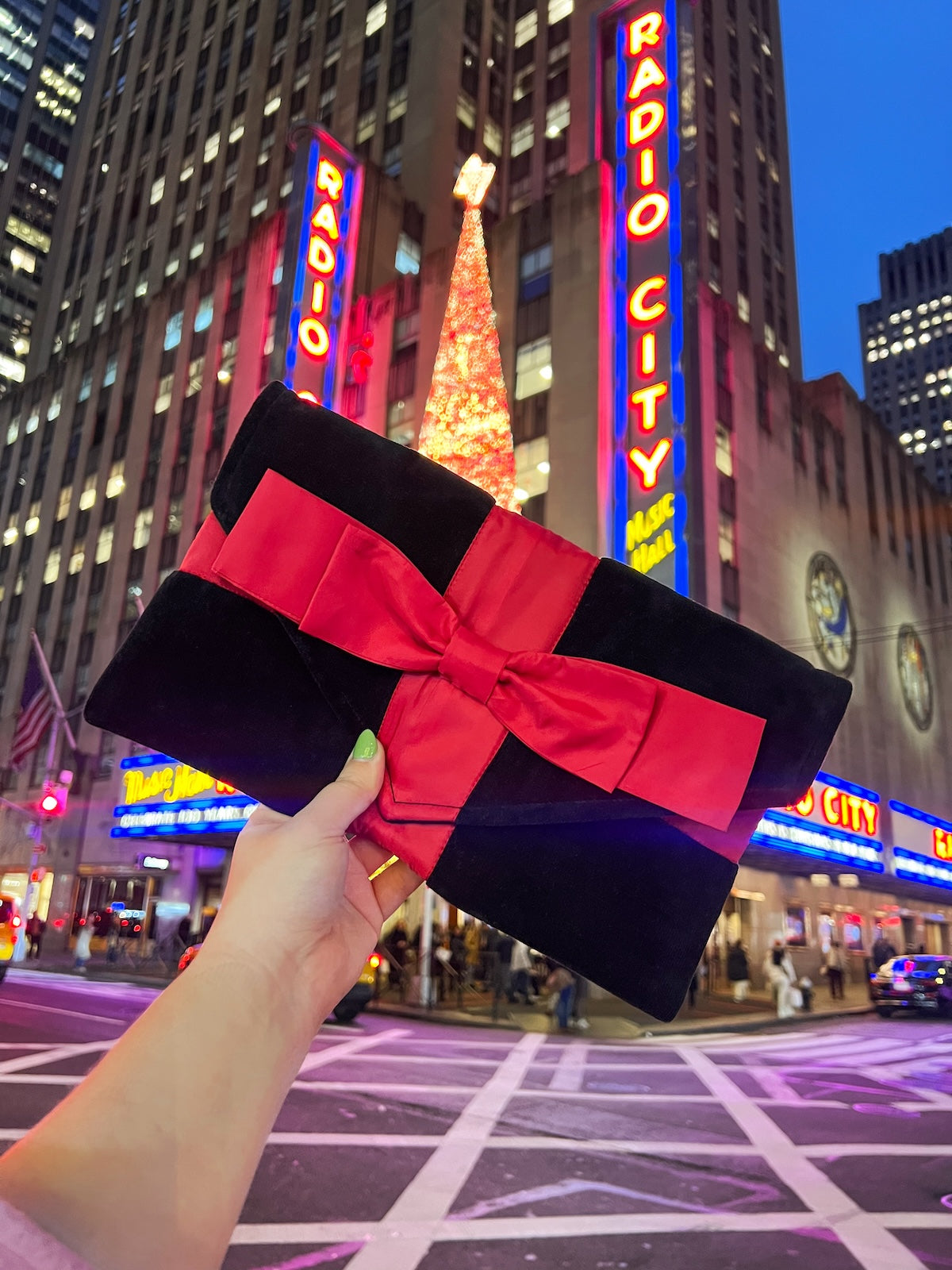 The Spectacular Holiday Bag